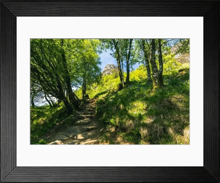 Framed Print : Ben A'an hill and the Loch Katrine in the Trossachs, Scotland Framed Print : Ben A'an hill and the Loch Katrine in the Trossachs, Scotland
