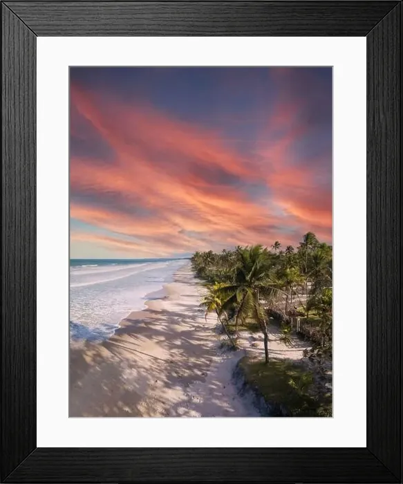 Framed Print : Aerial view deserted beach with coconut trees on the coast of bahia brazil Framed Print : Aerial view deserted beach with coconut trees on the coast of bahia brazil