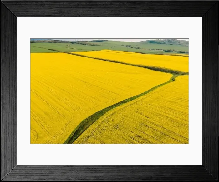 Framed Print : Blooming yellow rapeseed field with evening light. Aerial view with field textures Framed Print : Blooming yellow rapeseed field with evening light. Aerial view with field textures