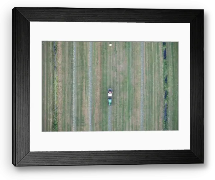 Framed Print : Agricultural tractor collects mowed grass for agricultural use and wraps hay bales in a plastic field, Friesland Framed Print : Agricultural tractor collects mowed grass for agricultural use and wraps hay bales in a plastic field, Friesland