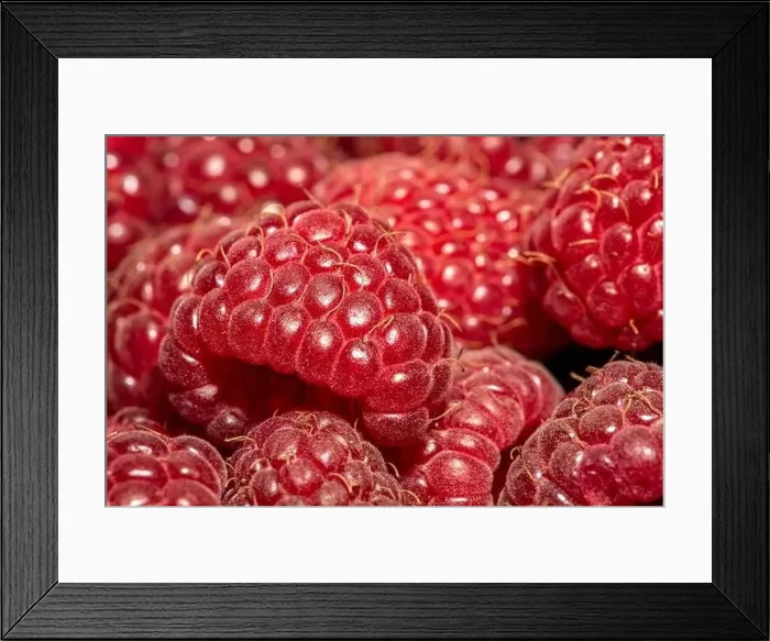 Framed Print : Raspberry close-up photo, macro focus bracketing, pink-red, hairs, raspberry background, raspberry fruit food Framed Print : Raspberry close-up photo, macro focus bracketing, pink-red, hairs, raspberry background, raspberry fruit food