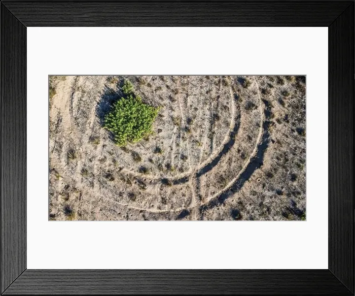 Framed Print : Tiretracks near Alepu beach, south of the town of Sozopol Framed Print : Tiretracks near Alepu beach, south of the town of Sozopol