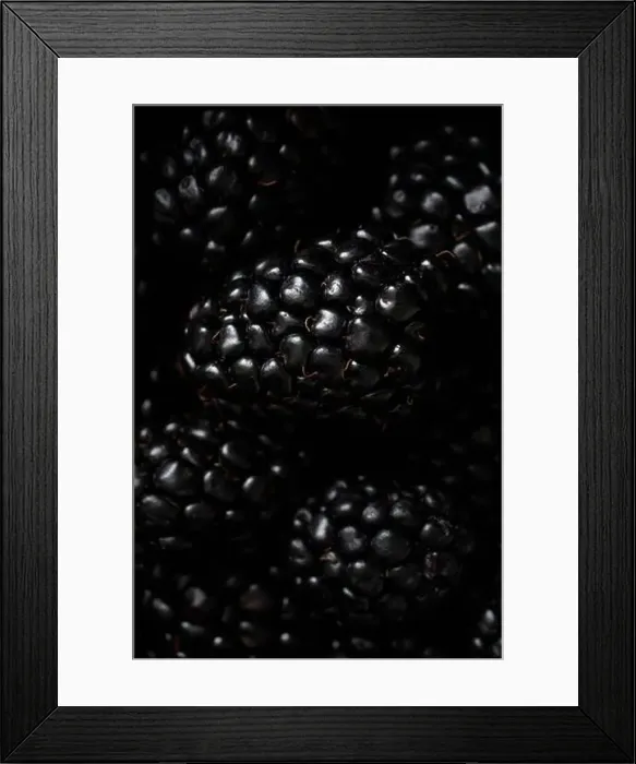 Framed Print : Overhead macro shot of blackberries Framed Print : Overhead macro shot of blackberries