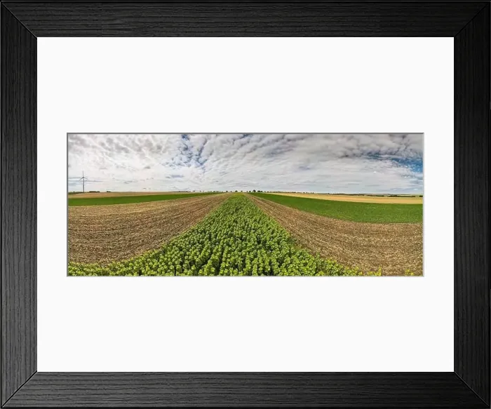 Framed Print : Panoramic View on Agriculture Fields Crop Framed Print : Panoramic View on Agriculture Fields Crop