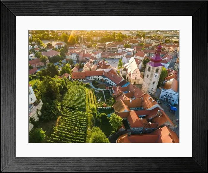 Framed Print : Old Monastery Vineyard in Ptuj, Slovenia Framed Print : Old Monastery Vineyard in Ptuj, Slovenia