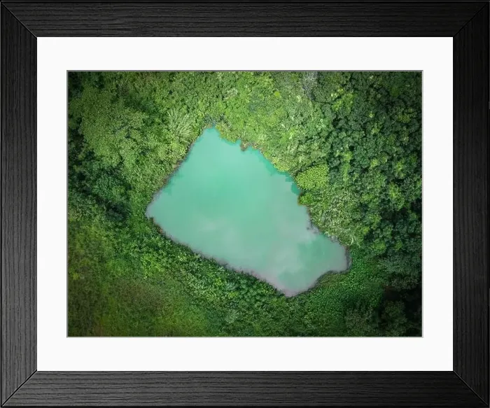 Framed Print : Aerial view river forest nature woodland area green tree Framed Print : Aerial view river forest nature woodland area green tree