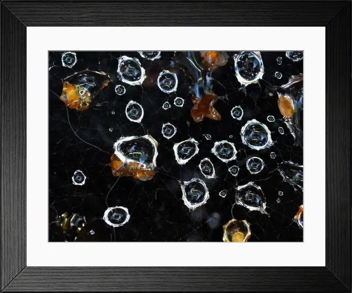 Framed Print : A macro shot of some water droplets caught in a spider's web Framed Print : A macro shot of some water droplets caught in a spider's web