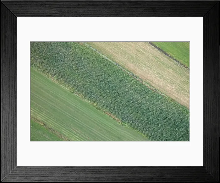 Framed Print : Structure of a rimmed cornfield from above, Friesland Framed Print : Structure of a rimmed cornfield from above, Friesland