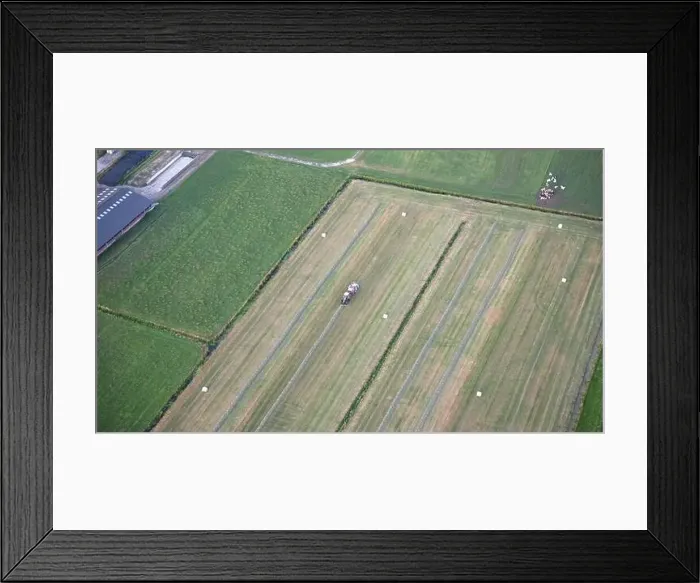 Framed Print : Agricultural tractor collects mowed grass for agricultural use and wraps hay bales in a plastic field, Friesland Framed Print : Agricultural tractor collects mowed grass for agricultural use and wraps hay bales in a plastic field, Friesland