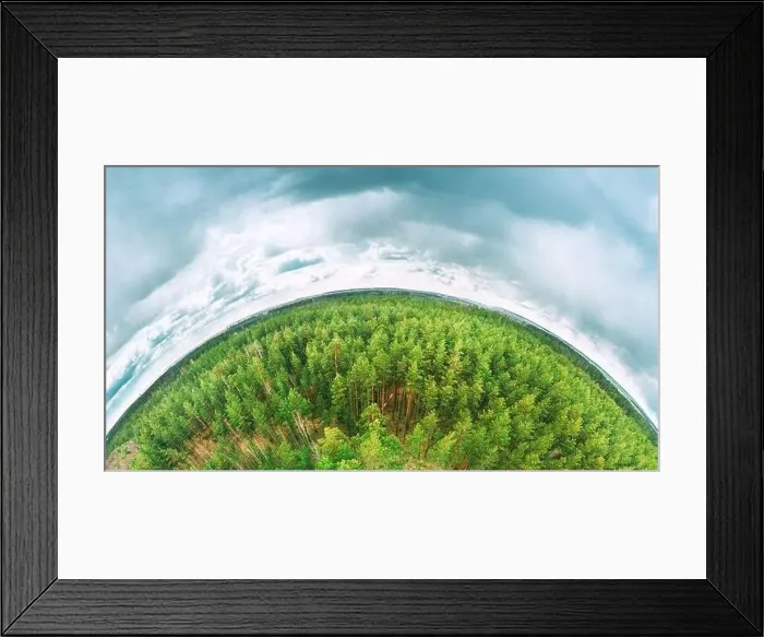 Framed Print : Aerial View Green Coniferous Forest Pines Woods Landscape In Spring Day Framed Print : Aerial View Green Coniferous Forest Pines Woods Landscape In Spring Day