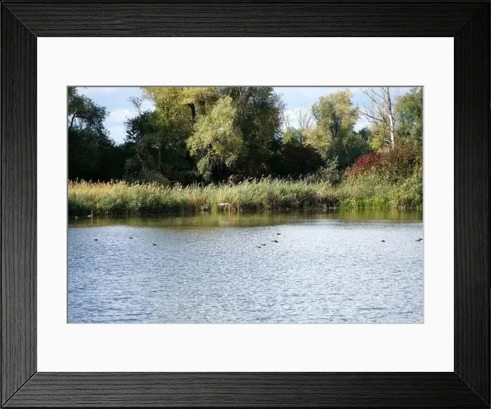 Framed Print : Bank of a river in Bavaria Photographed in detail Framed Print : Bank of a river in Bavaria Photographed in detail
