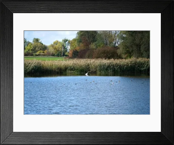 Framed Print : Bank of a river in Bavaria Photographed in detail Framed Print : Bank of a river in Bavaria Photographed in detail