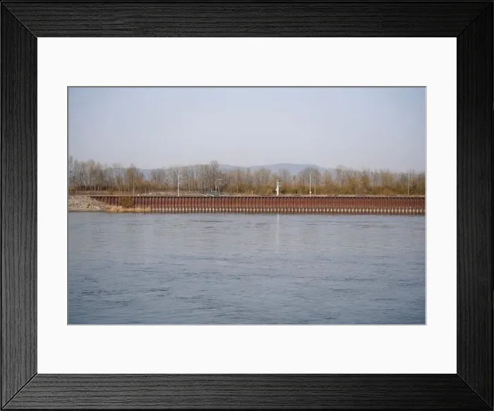 Framed Print : Bank of a river in Bavaria Photographed in detail Framed Print : Bank of a river in Bavaria Photographed in detail