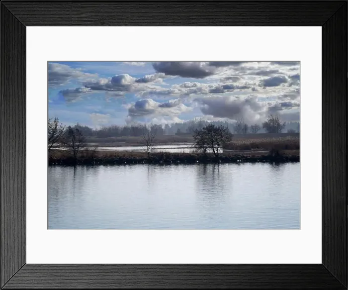 Framed Print : Bank of a river in Bavaria Photographed in detail Framed Print : Bank of a river in Bavaria Photographed in detail