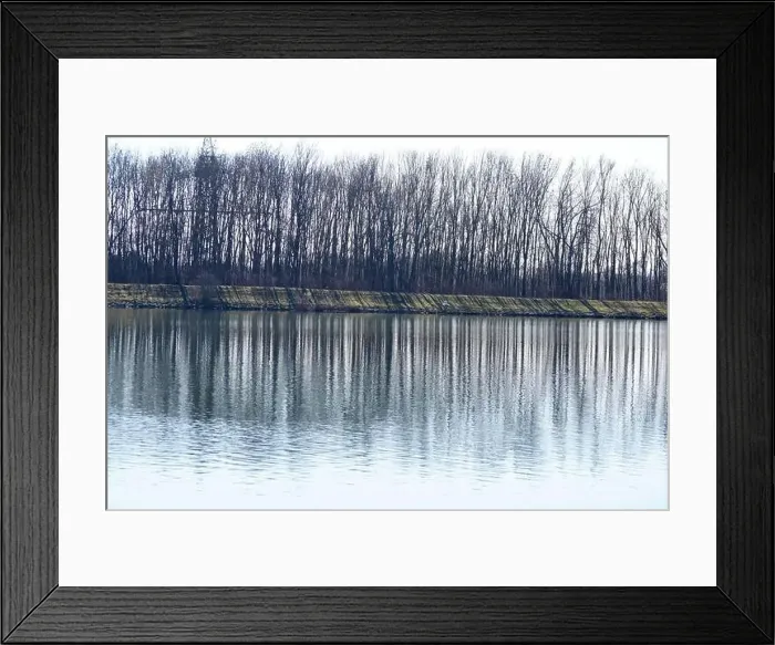 Framed Print : Bank of a river in Bavaria Photographed in detail Framed Print : Bank of a river in Bavaria Photographed in detail