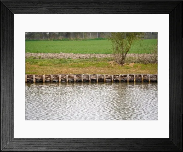 Framed Print : Bank of a river in Bavaria Photographed in detail Framed Print : Bank of a river in Bavaria Photographed in detail