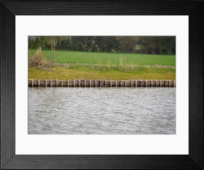 Framed Print : Bank of a river in Bavaria Photographed in detail Framed Print : Bank of a river in Bavaria Photographed in detail