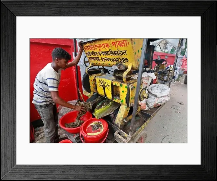 Framed Print : Dhaka, Bangladesh - August 22, 2021: A mustard oil seller in Badda Framed Print : Dhaka, Bangladesh - August 22, 2021: A mustard oil seller in Badda