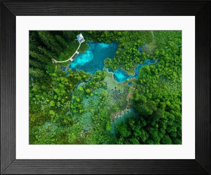 Framed Print : Zelenci Spring Nature Reserve in Slovenia. Sava River Source Framed Print : Zelenci Spring Nature Reserve in Slovenia. Sava River Source