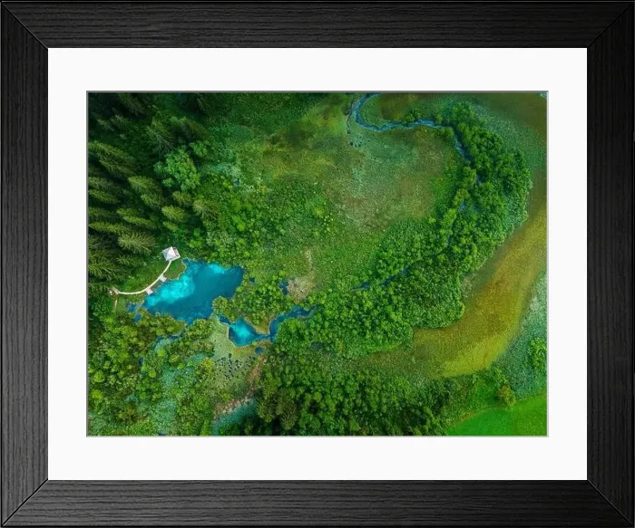 Framed Print : Turquoise Water in Zelenci Springs in Slovenia Framed Print : Turquoise Water in Zelenci Springs in Slovenia