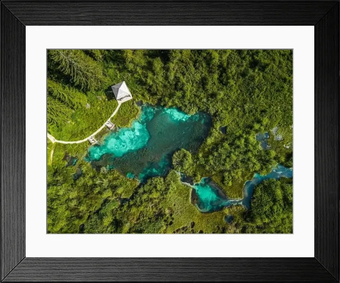 Framed Print : Zelenci Springs in Julian Alps Slovenia. Nature Reserve Landscape Framed Print : Zelenci Springs in Julian Alps Slovenia. Nature Reserve Landscape
