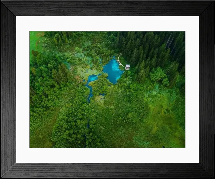 Framed Print : Zelenci Springs in Julian Alps Slovenia. Nature Reserve Landscape Framed Print : Zelenci Springs in Julian Alps Slovenia. Nature Reserve Landscape