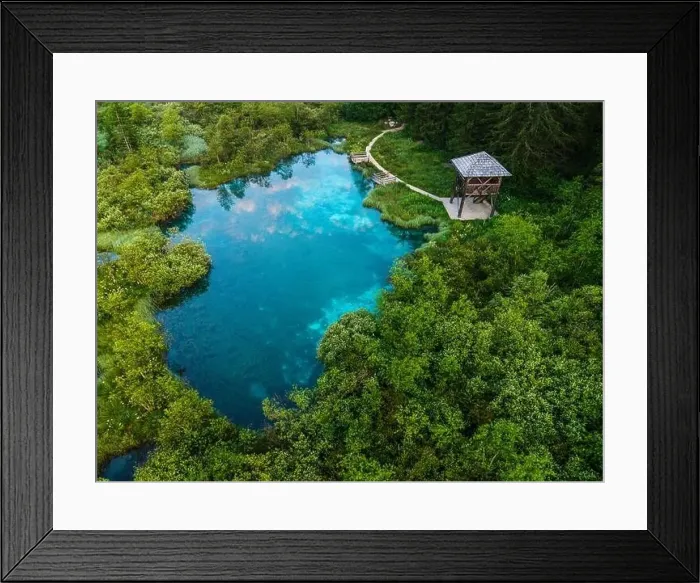 Framed Print : Zelenci Springs in Slovenia Nature Reserve. Turquoise Water in Alpine Pond Framed Print : Zelenci Springs in Slovenia Nature Reserve. Turquoise Water in Alpine Pond