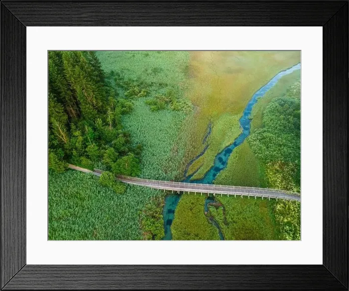 Framed Print : Wilderness in Slovenia Landscape. Wetland and Grassland in Zelenci Spring Nature Reserve Framed Print : Wilderness in Slovenia Landscape. Wetland and Grassland in Zelenci Spring Nature Reserve