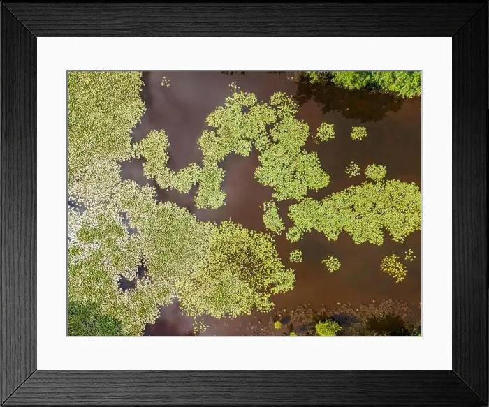Framed Print : Aerial view of a lily pond in Loire Valley, France Framed Print : Aerial view of a lily pond in Loire Valley, France