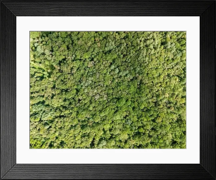 Framed Print : Aerial view of the canopy of Touraine, Loire Valley, France Framed Print : Aerial view of the canopy of Touraine, Loire Valley, France