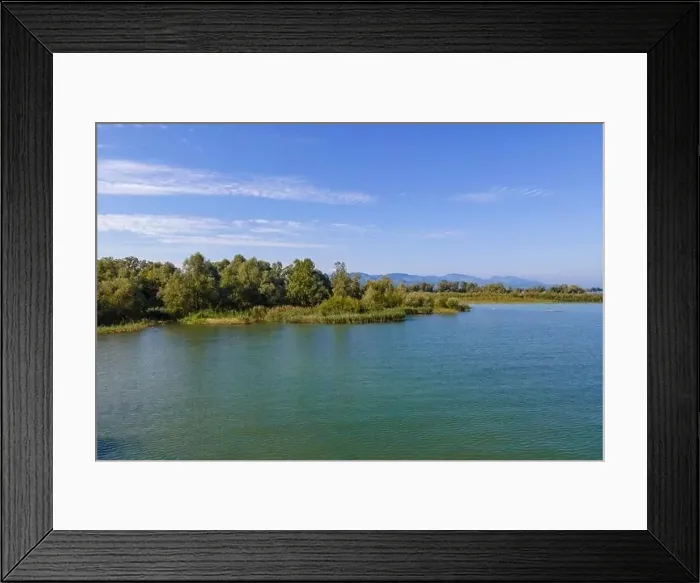 Framed Print : Aerial shot with a drone of the local recreation area at the Wocherhafen at the Lake Constance in Austria Framed Print : Aerial shot with a drone of the local recreation area at the Wocherhafen at the Lake Constance in Austria