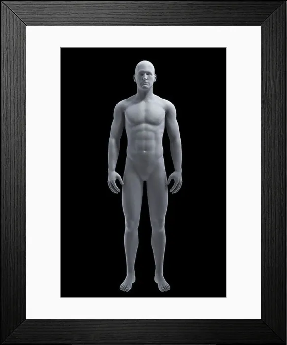 Framed Print : Integumentary System Male) Framed Print : Integumentary System Male)