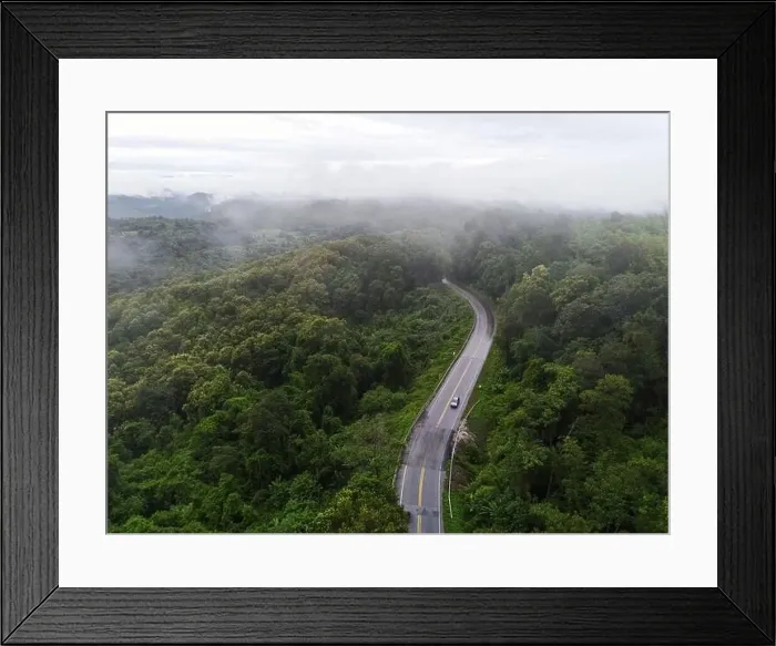 Framed Print : Aerial view foggy road forest tree environment nature background Framed Print : Aerial view foggy road forest tree environment nature background