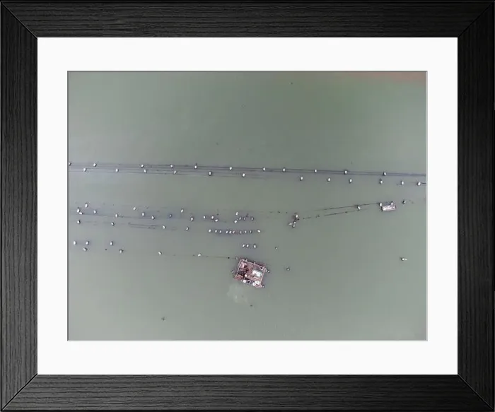 Framed Print : oyster mussel farm fal river cornwall uk Framed Print : oyster mussel farm fal river cornwall uk