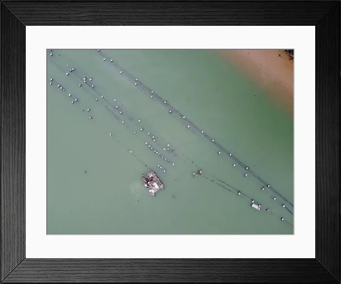 Framed Print : oyster mussel farm fal river cornwall uk Framed Print : oyster mussel farm fal river cornwall uk