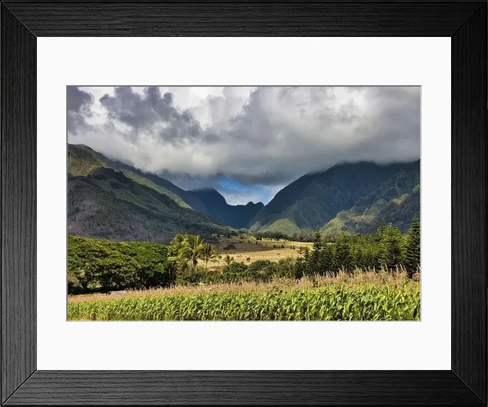Framed Print : Fertile valley and mountains on the island of maui