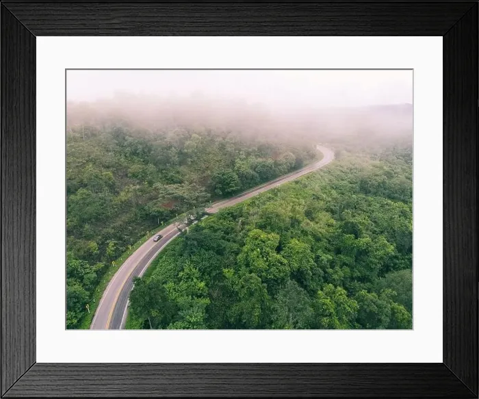 Framed Print : Aerial view foggy road forest tree environment nature background Framed Print : Aerial view foggy road forest tree environment nature background