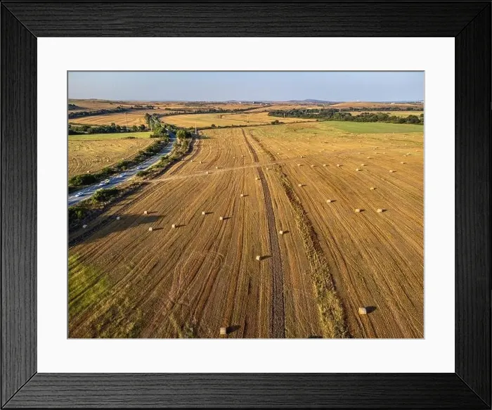 Framed Print : Road crossing the farmlands in eastern Bulgaria Framed Print : Road crossing the farmlands in eastern Bulgaria