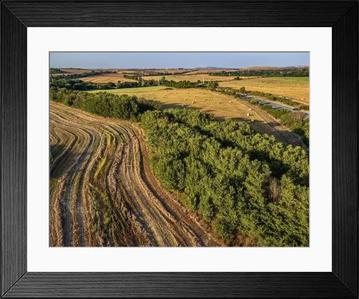 Framed Print : Road crossing the farmlands in eastern Bulgaria Framed Print : Road crossing the farmlands in eastern Bulgaria