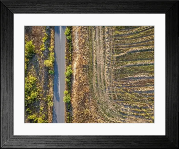 Framed Print : Road crossing the farmlands in eastern Bulgaria Framed Print : Road crossing the farmlands in eastern Bulgaria