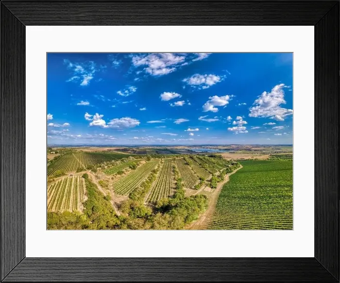 Framed Print : Vineyards in Palava region, Landscape of South Moravia, Czech Republic, view from above, drone shoot Framed Print : Vineyards in Palava region, Landscape of South Moravia, Czech Republic, view from above, drone shoot