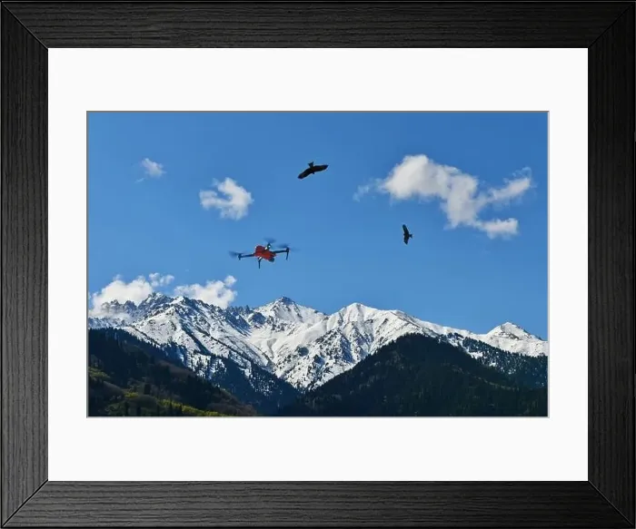 Framed Print : Drone and eagles in the sky over the mountains Framed Print : Drone and eagles in the sky over the mountains