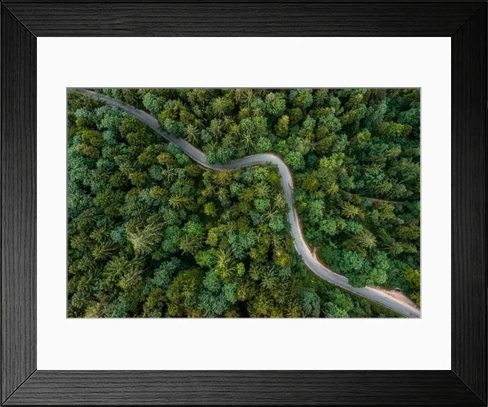 Framed Print : A bending road from above leading through a green forest Framed Print : A bending road from above leading through a green forest