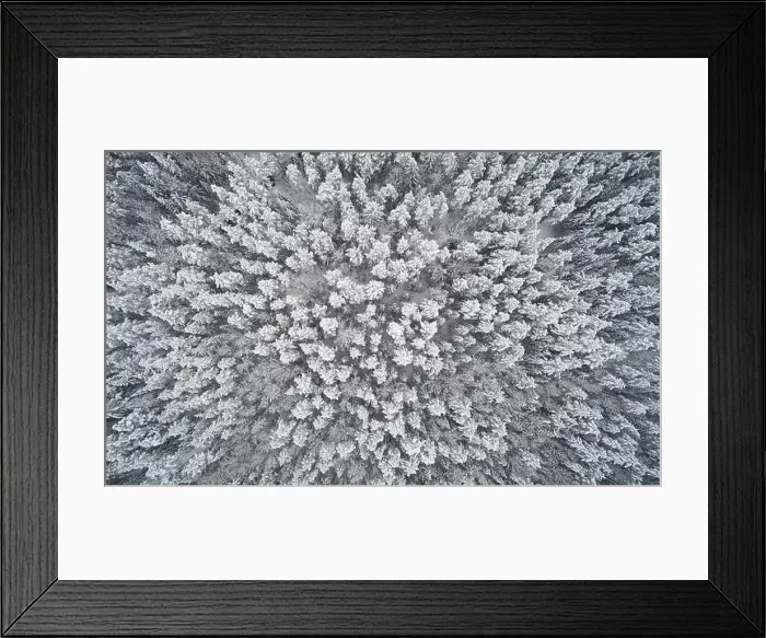 Framed Print : Winter abstract background. Snowy forest above top view Framed Print : Winter abstract background. Snowy forest above top view