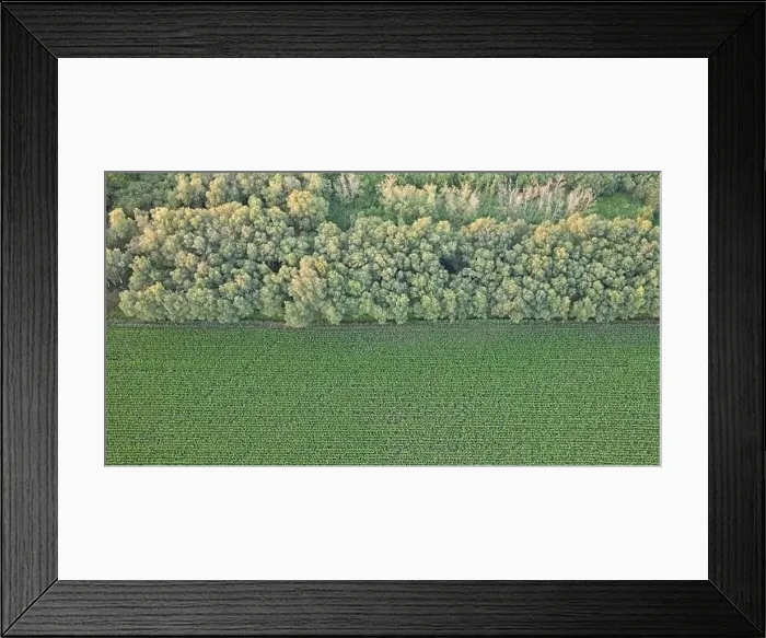 Framed Print : Agricultural landscape of Friesland Framed Print : Agricultural landscape of Friesland