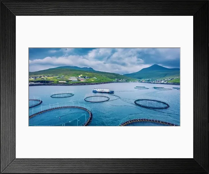 Framed Print : View from flying drone. Trout farm nearby Sandavagur village Framed Print : View from flying drone. Trout farm nearby Sandavagur village
