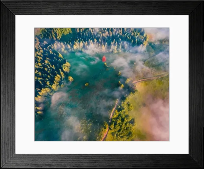 Framed Print : Straight down view of mountain forest with old country road Framed Print : Straight down view of mountain forest with old country road