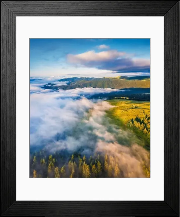 Framed Print : First sunlight glowing mountain forest Framed Print : First sunlight glowing mountain forest