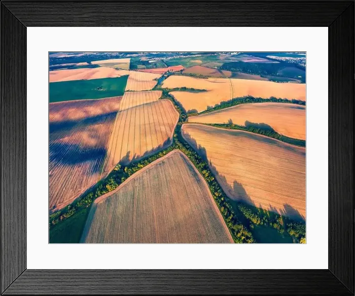Framed Print : View from flying drone of river in shape of tree among the field of wheat Framed Print : View from flying drone of river in shape of tree among the field of wheat