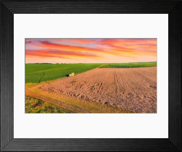 Framed Print : Aerial landscape photography. Combine harvester on the field of wheat Framed Print : Aerial landscape photography. Combine harvester on the field of wheat